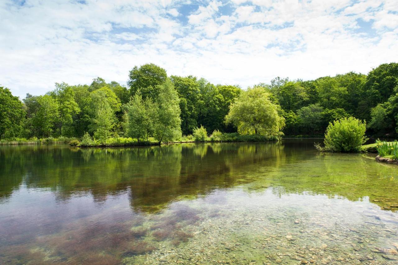 Pinetum Gardens Retreats Hotell St. Austell Eksteriør bilde